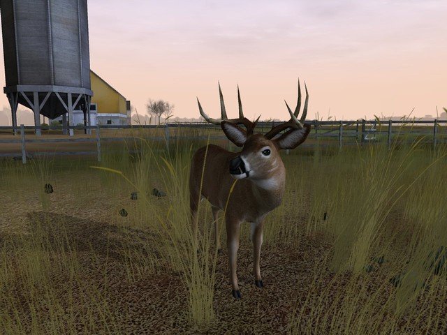 Deer hunter 2005 custom maps
